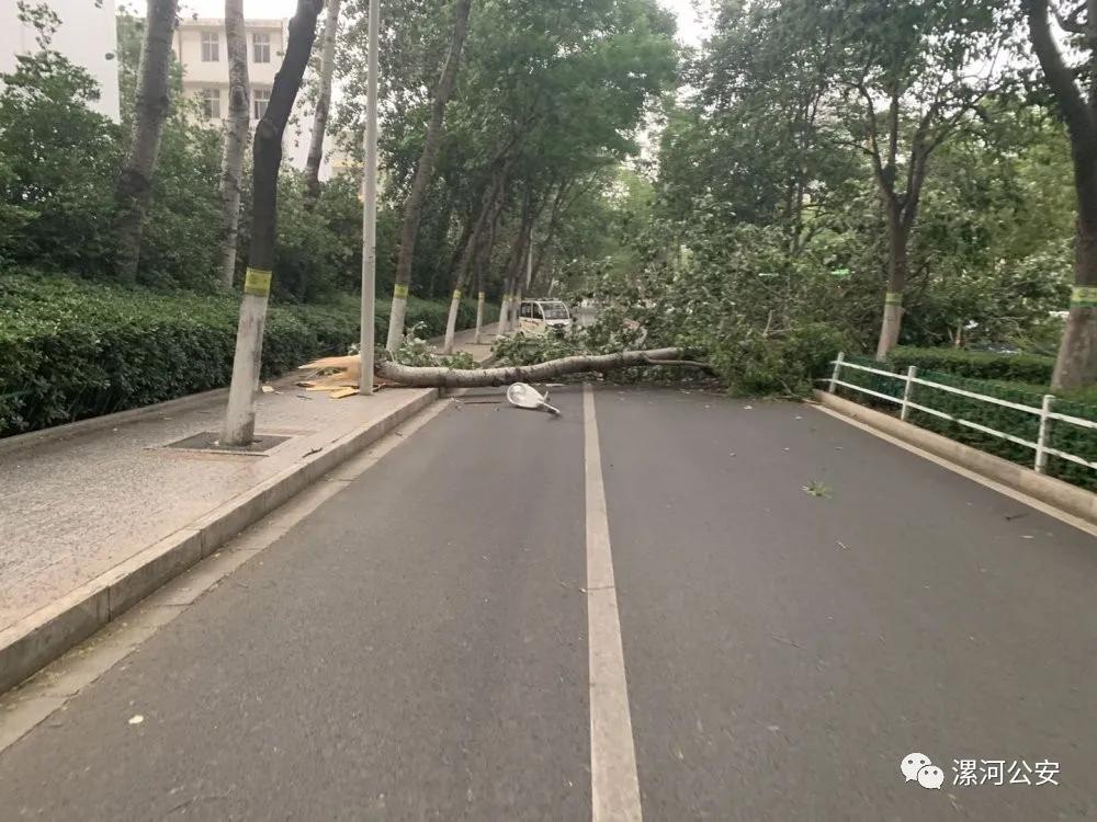 漯河救助站,漯河紧急避难所