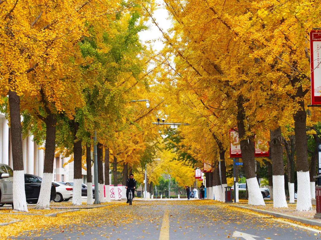 醉美大工秋|读书不觉已秋深，____________