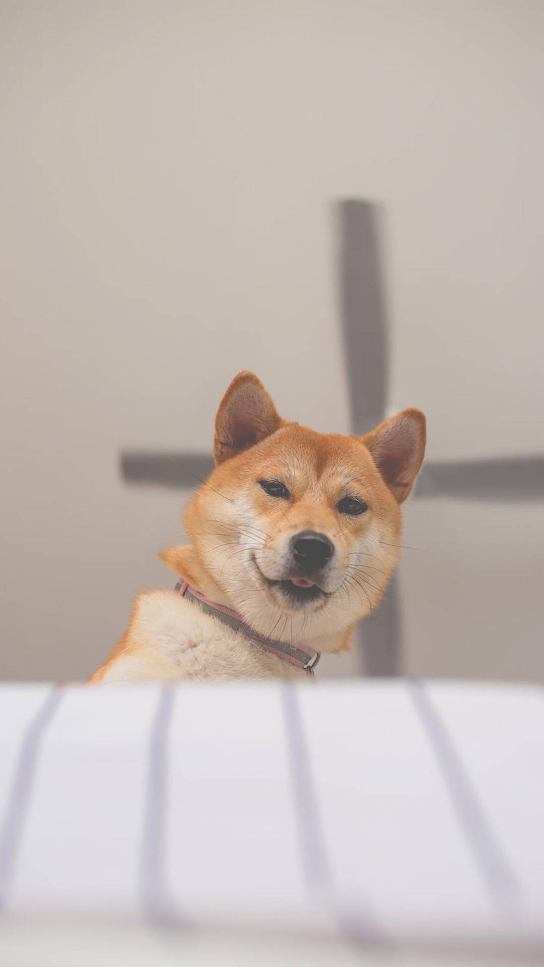 手机高清壁纸原图自取好运,原图壁纸经典手机壁纸分享