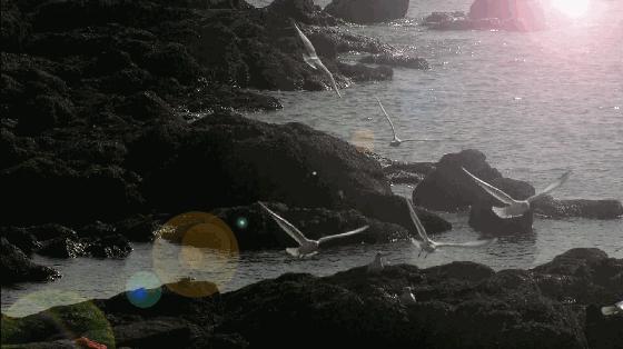 红岛黑岛,青岛和红岛的区别