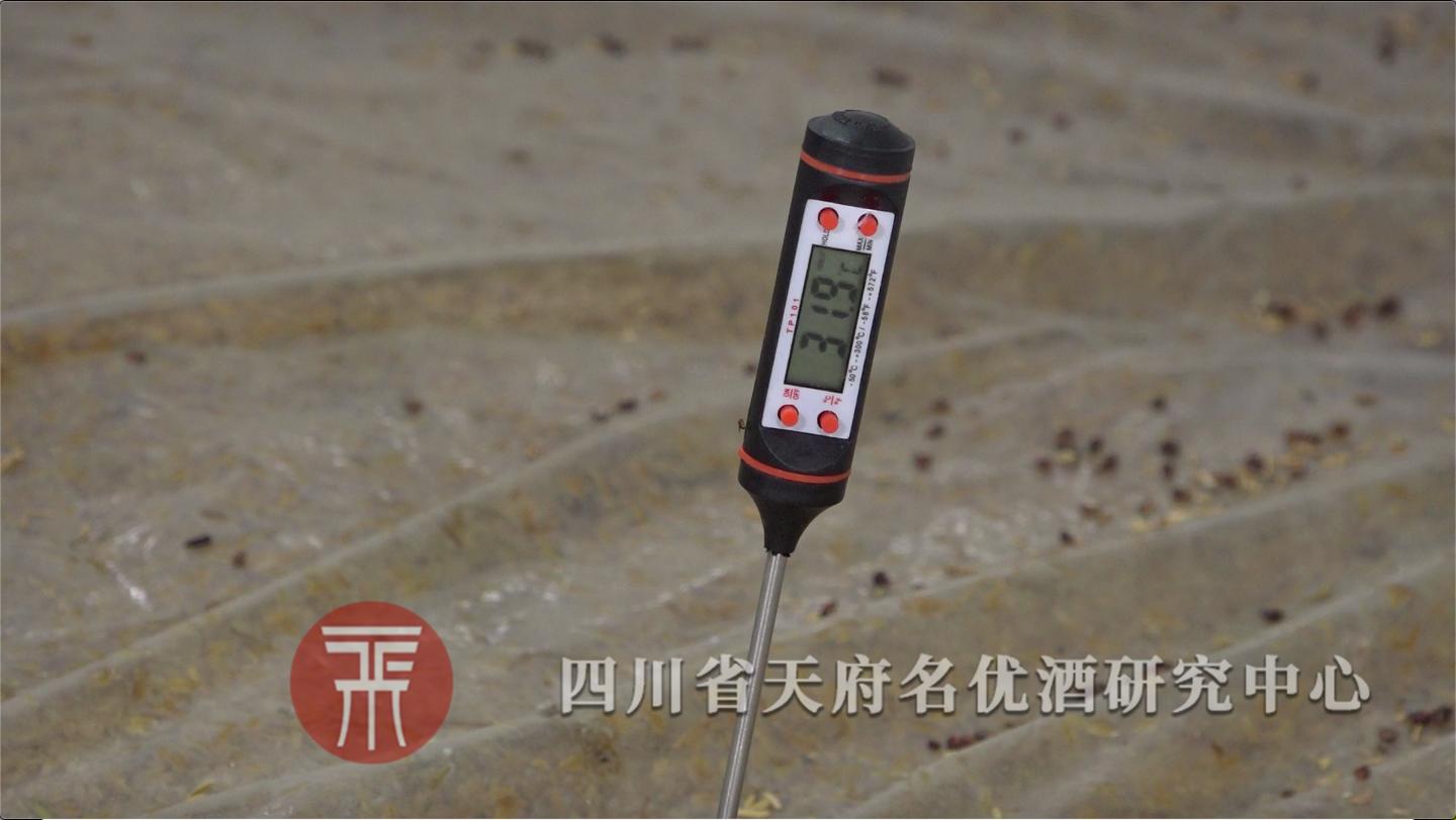 高粱小曲酒常见问题,小曲高粱酒入窖温度低了怎么补救