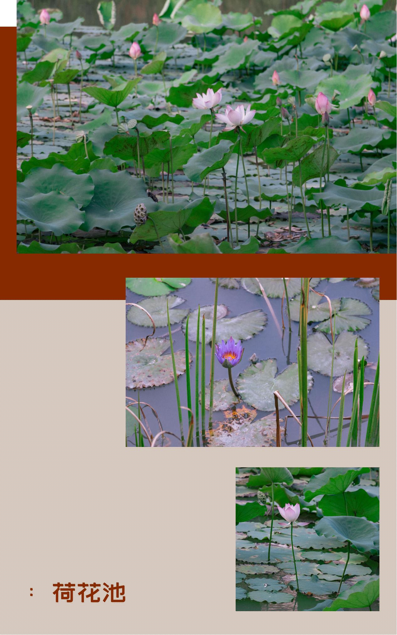 深圳风景最好的岛,深圳有个什么旅游岛