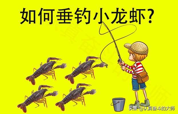 钓小龙虾的方法和技巧,小龙虾的钓法及用法