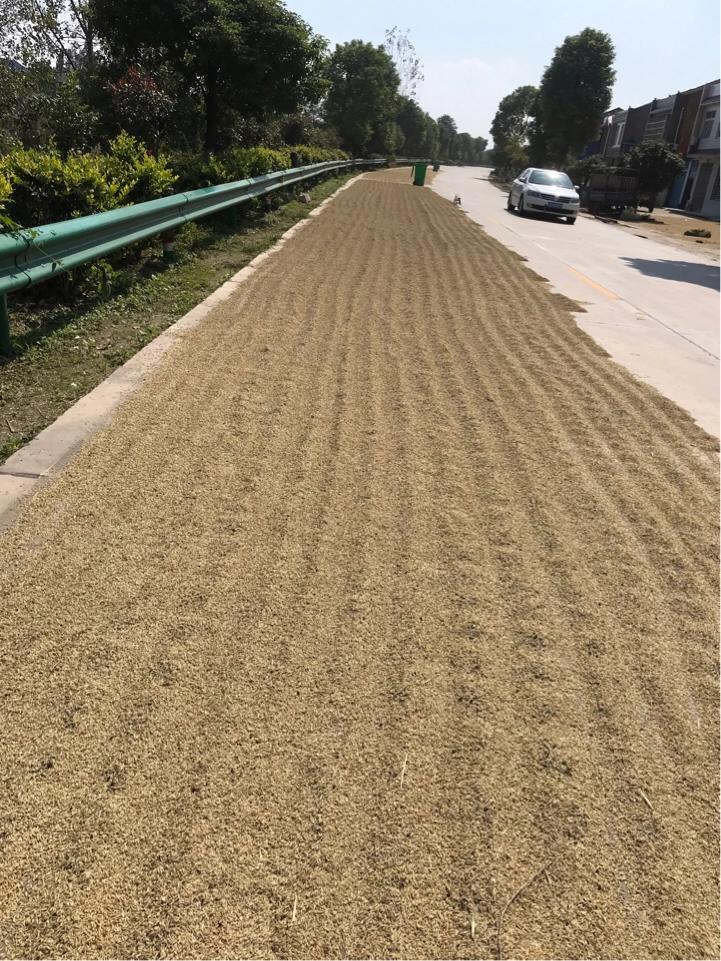 我的单车梦,我的单车作文300字