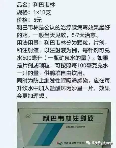 人药治鸽病配方大全,教你巧用人药治鸽子病