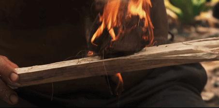 祸从天降全集免费观看,祸从天降上集