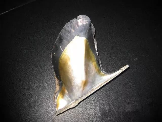 戴上珍珠发夹就是小仙女,当女人戴上眼镜