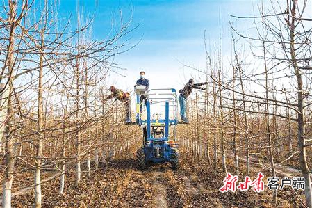 【决战决胜脱贫攻坚】书写决战脱贫攻坚的春天答卷——甘肃全力推进脱贫攻坚任务落实纪实