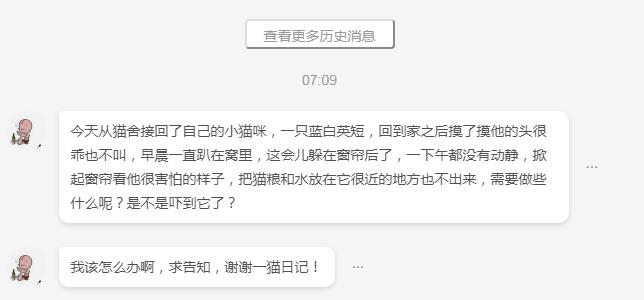 新猫到家一直躲在床底下怎么办,为什么新猫到家一直躲着我