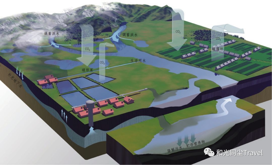 盐城世界第一大湿地,盐城黄海湿地世界遗产