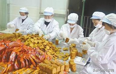 适合农村创业的最新致富项目,平原地区农村创业致富的好项目