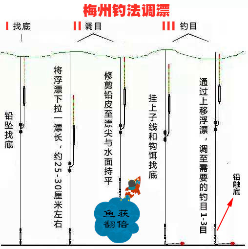 如何钓鲮鱼教你一招,钓鲮鱼饵料怎么搭配