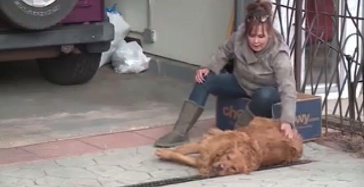 疫情无情人有情感谢邻居帮忙,疫情无情人有情邻居给我送东西