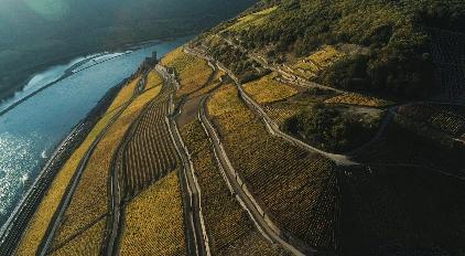 雷司令1987,雷司令588岁生日酒会