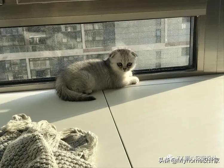 不敢相信房子还有人住,不敢相信的房子