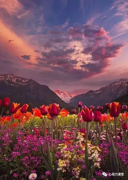 社交恐惧症自述100例,社交恐惧和社交恐惧症的区别