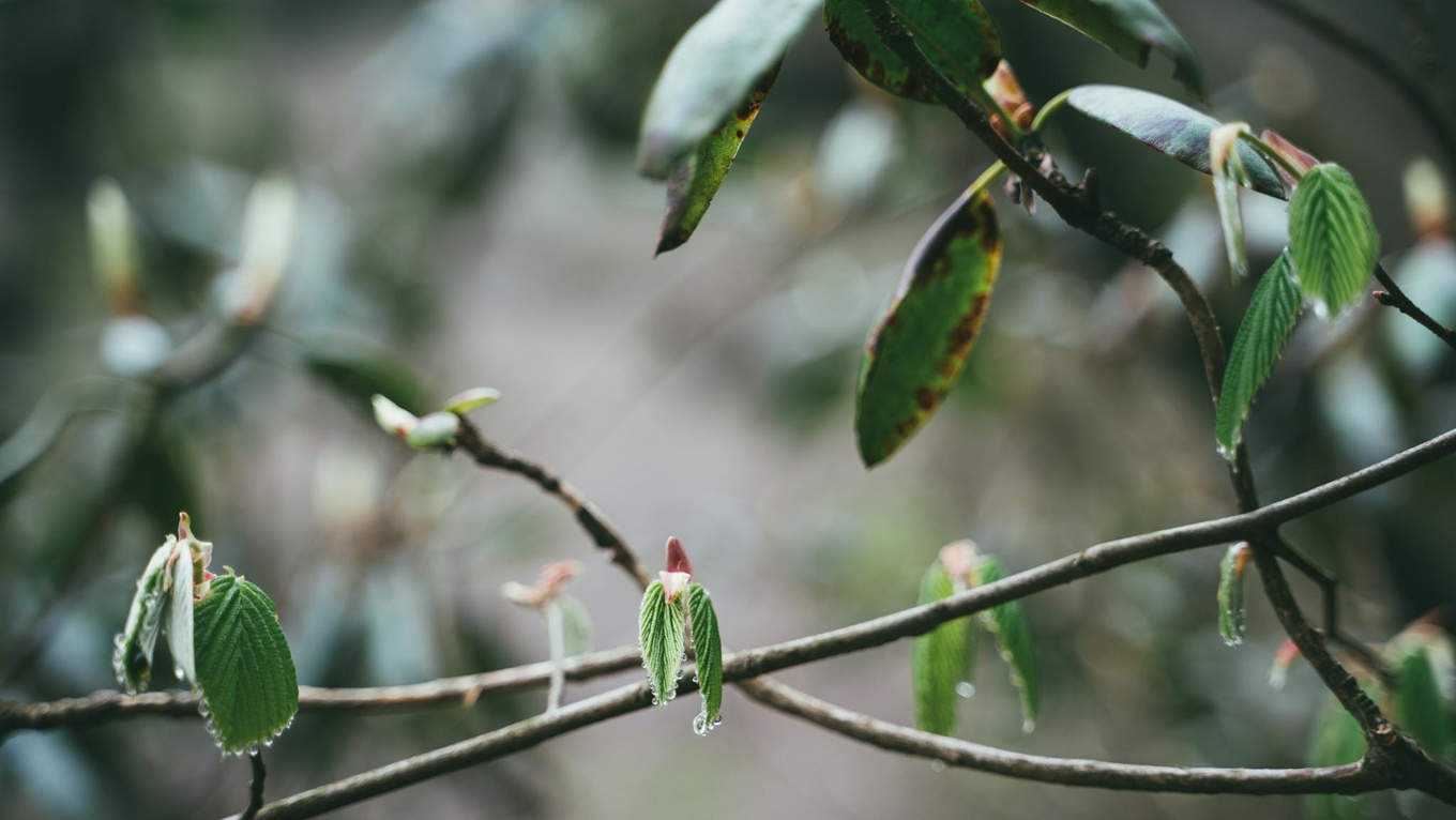 安徽天柱山有哪些好玩的景点推荐,安徽天柱山附近还有什么山