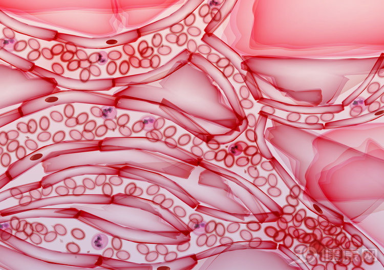 得了肝硬化该怎么治疗才正确,肝硬化怎么治愈