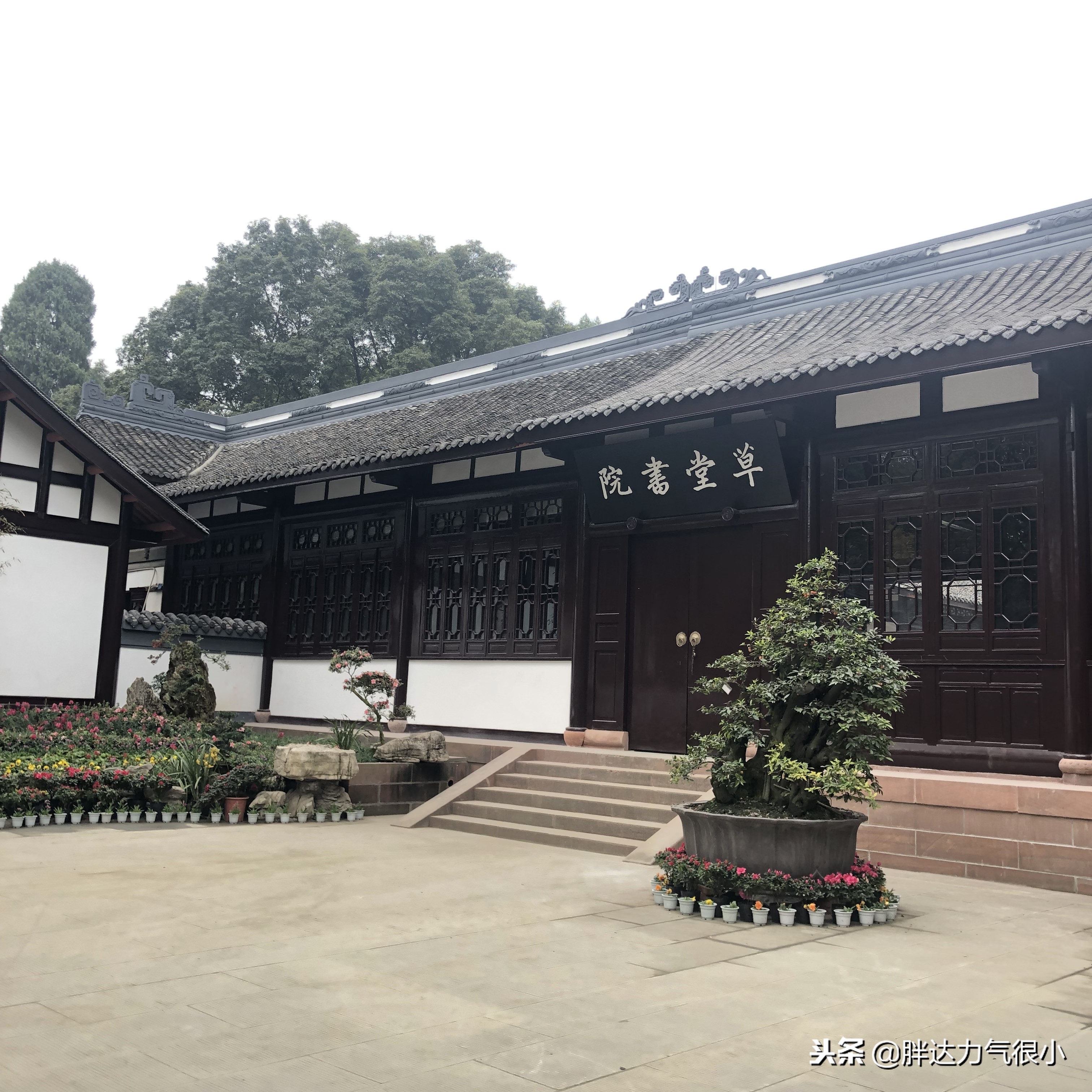 成都失恋之旅,失恋了去成都哪里旅游好