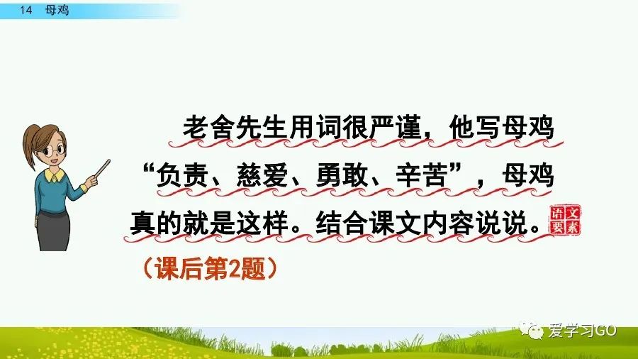 部编版四年级下册15课白鹅解析,部编版四下语文第13课母鸡预习