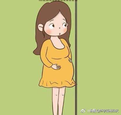 孕期检查7次,2022孕期检查项目时间表