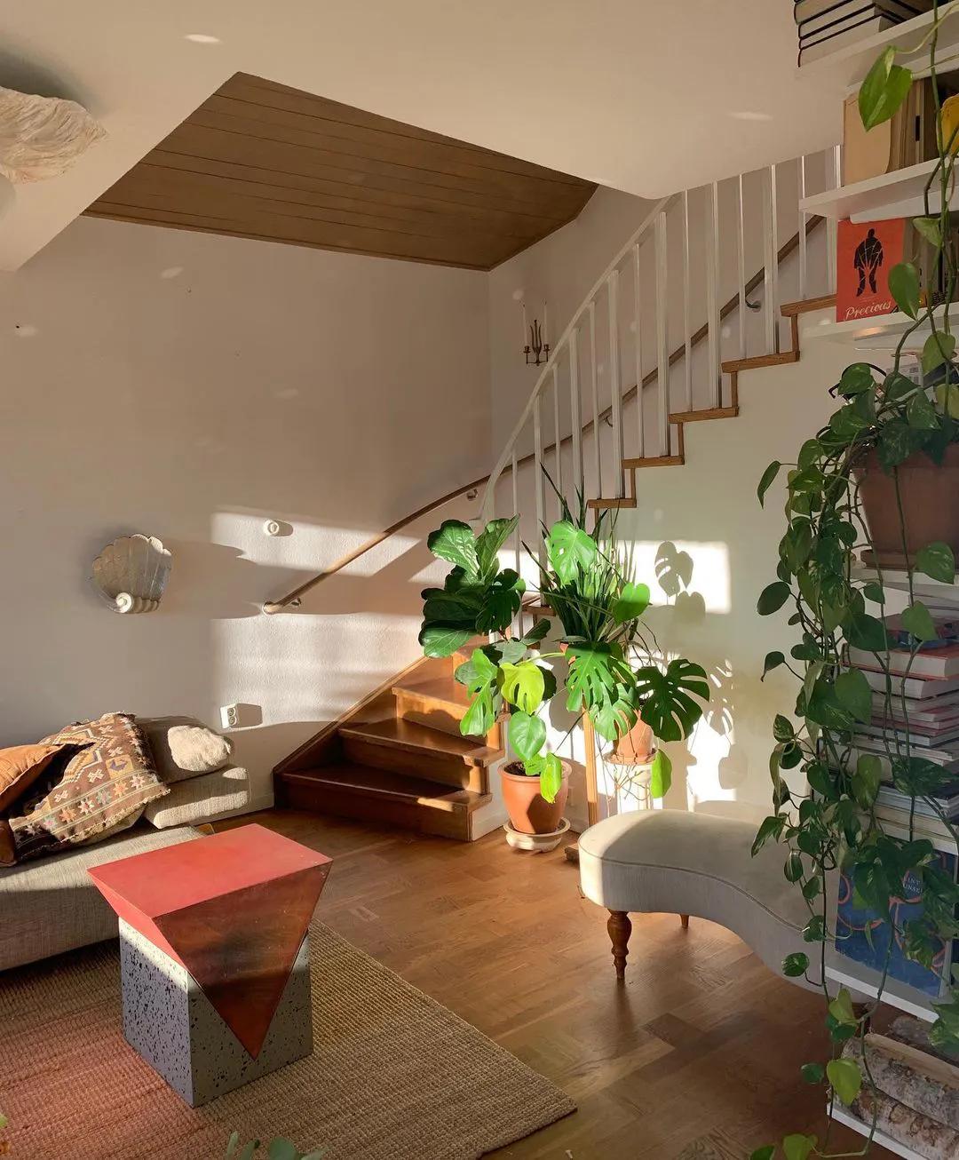 鍘昏В蹇ф潅璐у簵,鍘昏В蹇ф潅璐у簵瑙ｅ咖