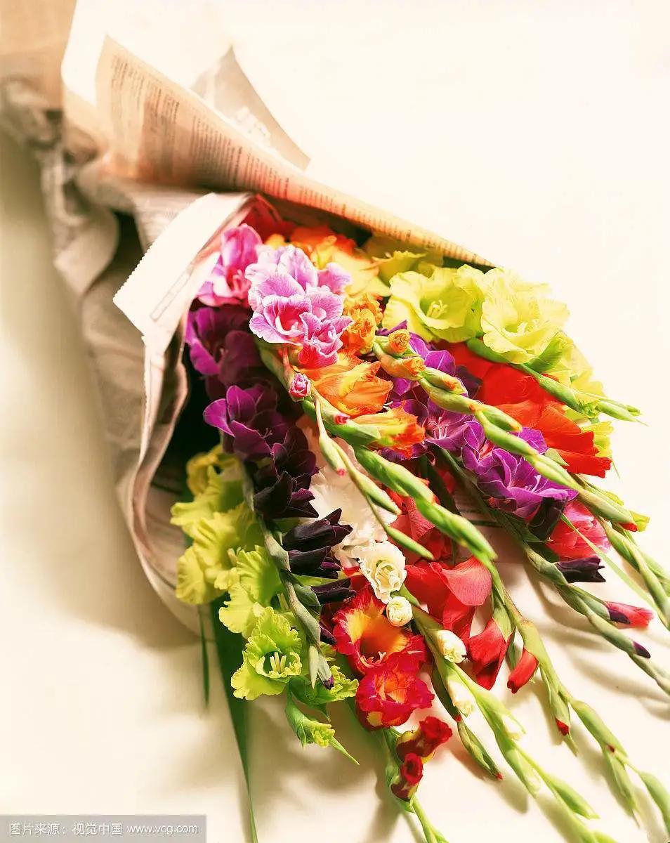 教师节应该送几朵花康乃馨,教师节幼儿园送什么样的花比较好