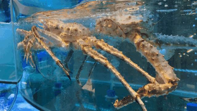 兰州好吃又实惠的海鲜,兰州值得推荐海鲜店