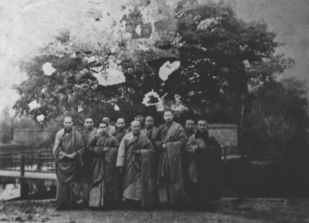 读城成都,读城记成都节选