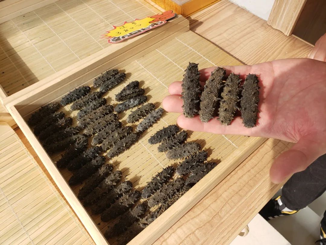 春节前海参市场迎来抢购热:自营品牌与知名品牌同海域产品差价悬殊