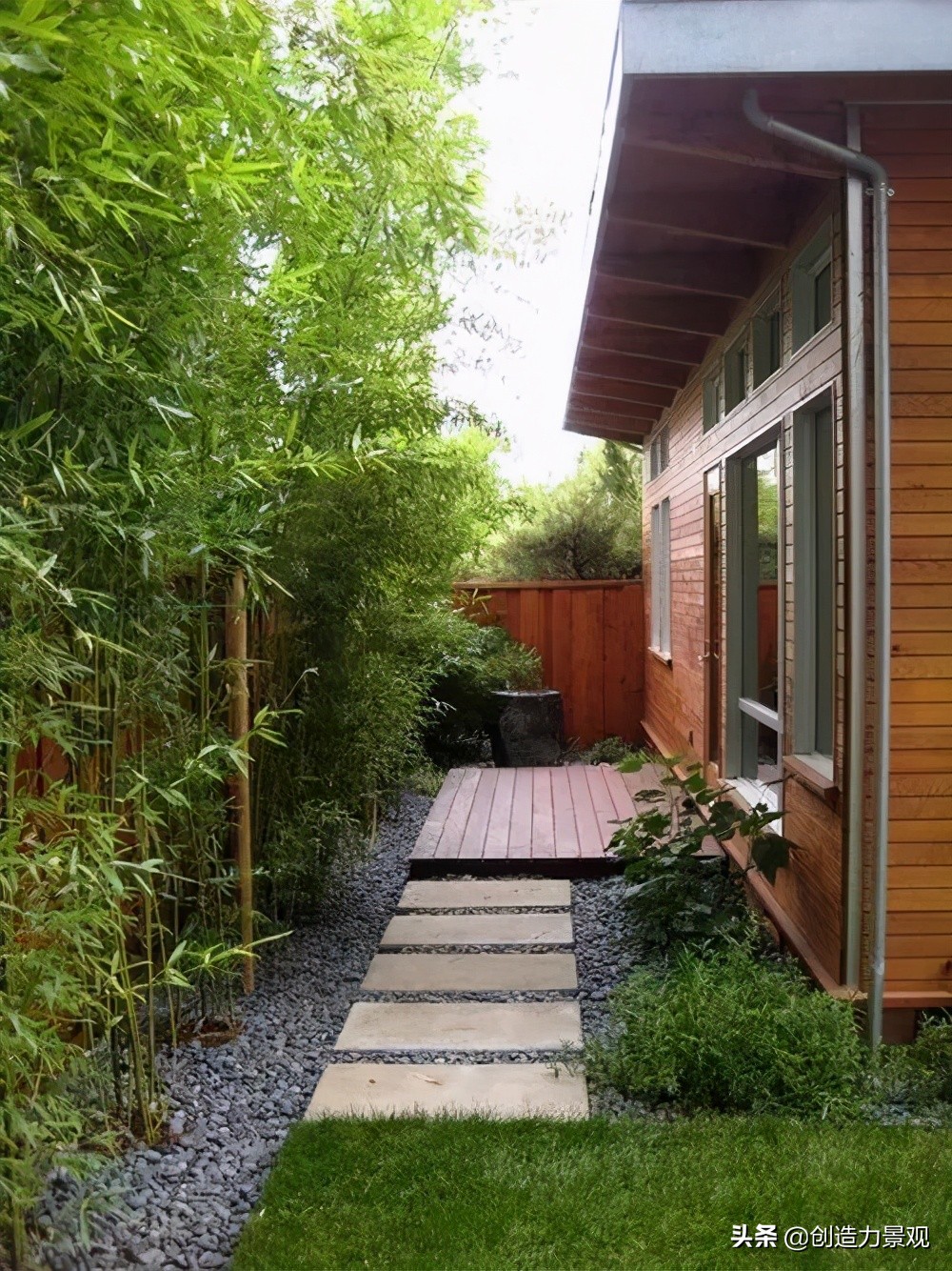 南方庭院种植什么竹子品种最好,庭院适合种什么竹子可以做隔断