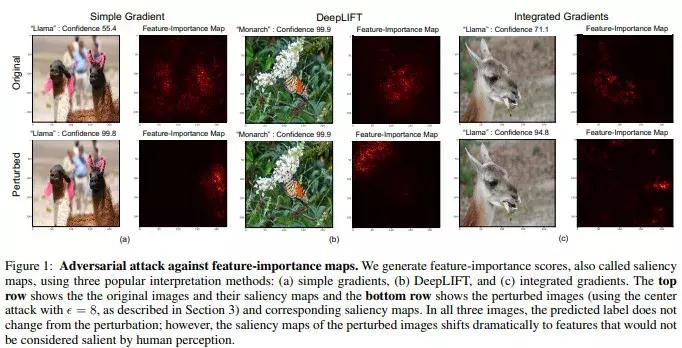对于机器学习的理解,揭开大脑与教育的惊人真相