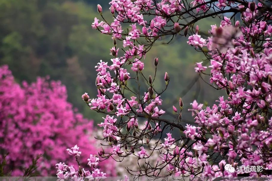 药王谷里觅旧迹（原图文）