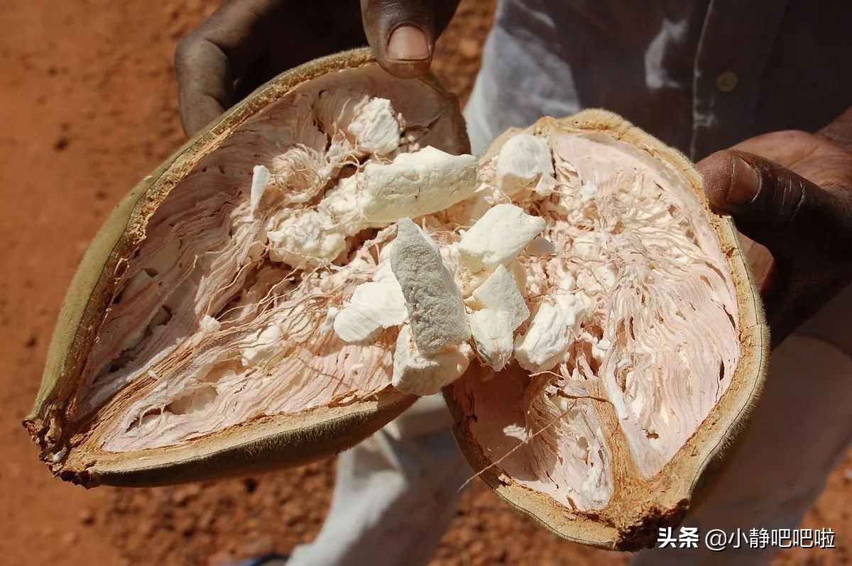 马达加斯加奇葩冷知识,你不知道的国家冷知识摩洛哥