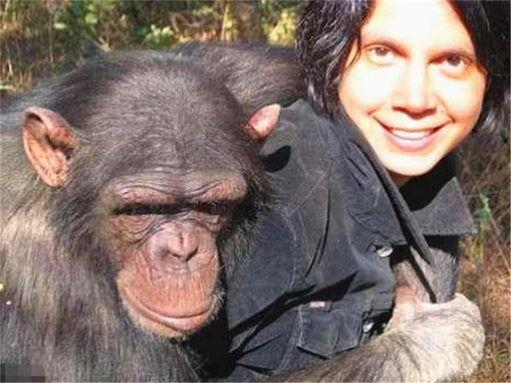 人类和猩猩有共同祖先吗,人类和大猩猩基因相似的原因