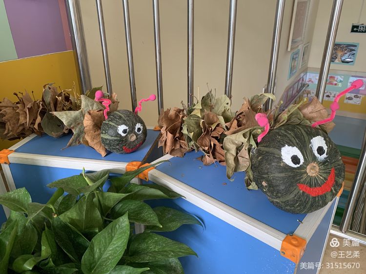 幼儿园自然角全景创设,幼儿园自然角的创设介绍