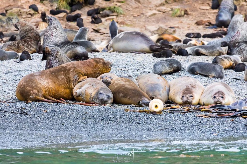 去南极能走出这个世界吗,为什么现在都要去南极