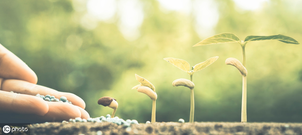 悟禅心语：佛性才是真正的个性，开悟后自然呈现！