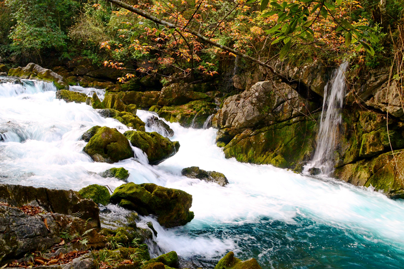 贝爷荔波荒野求生照片,跟着贝尔去旅行荔波