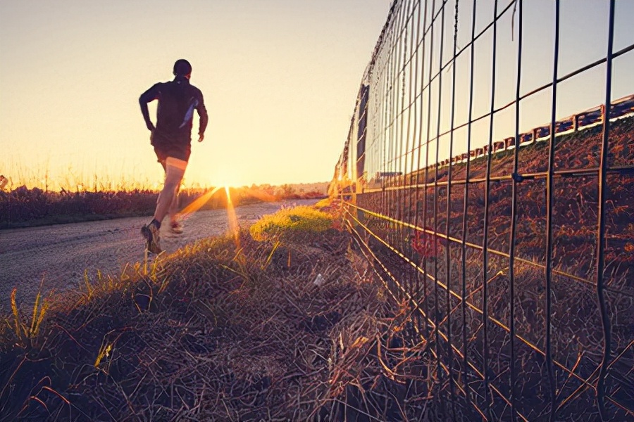 提高免疫力和增强免疫力,增强免疫力和提高免疫力