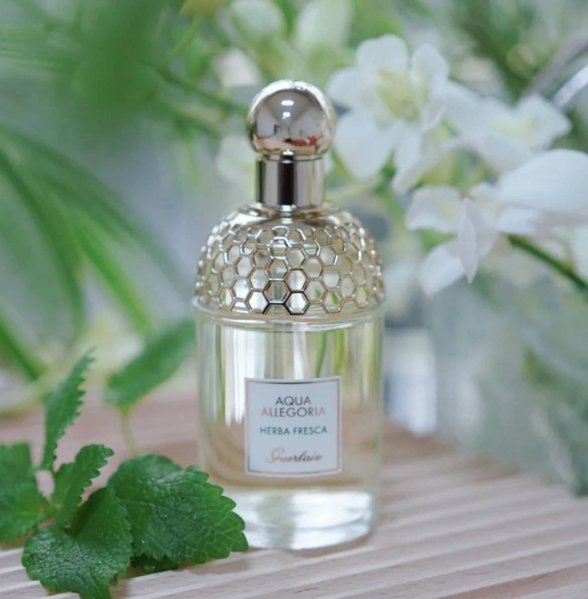 夏季高温清凉,高温天气穿什么凉快