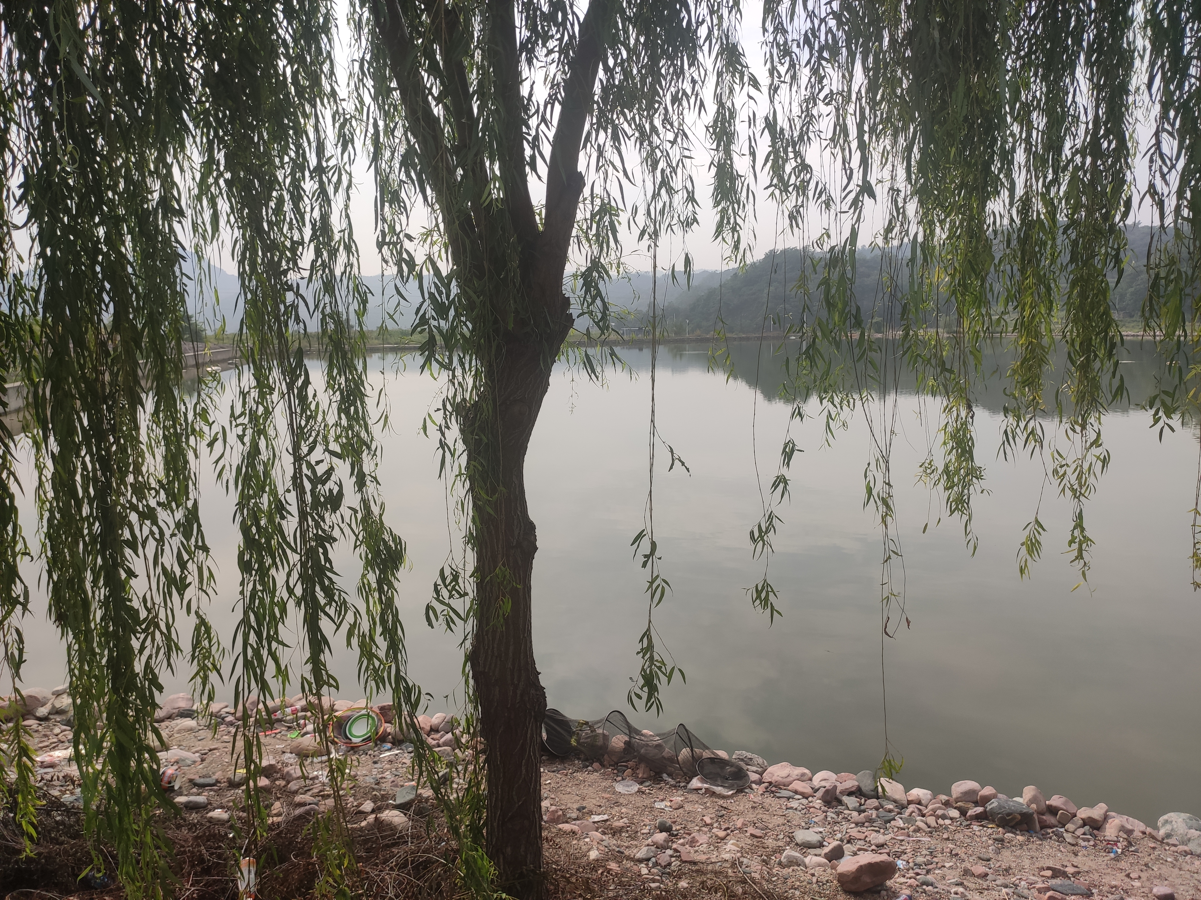 你钓过几种鱼,钓来的鱼有柴油味怎样解决