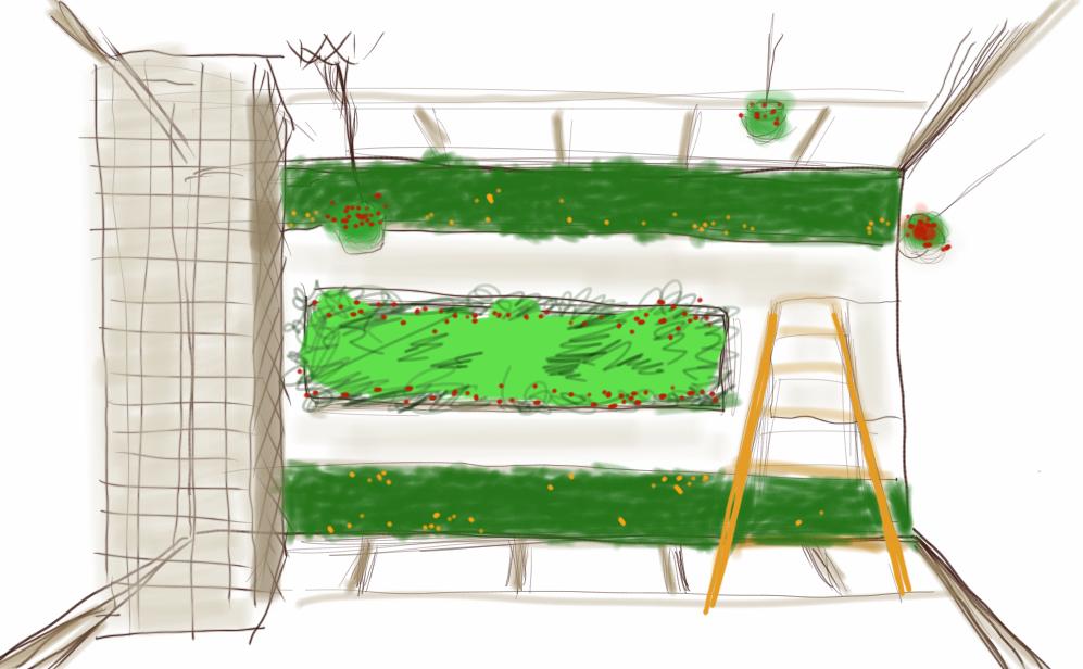 一个世界上还没有人想过的主意——超级塑料瓶船