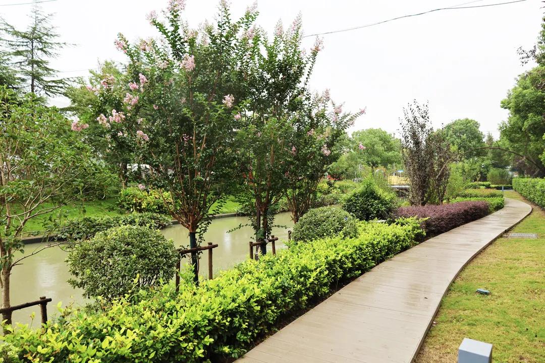 沪上“花园式”工地办公是怎样的体验?来看看这个白玉兰奖工程吧