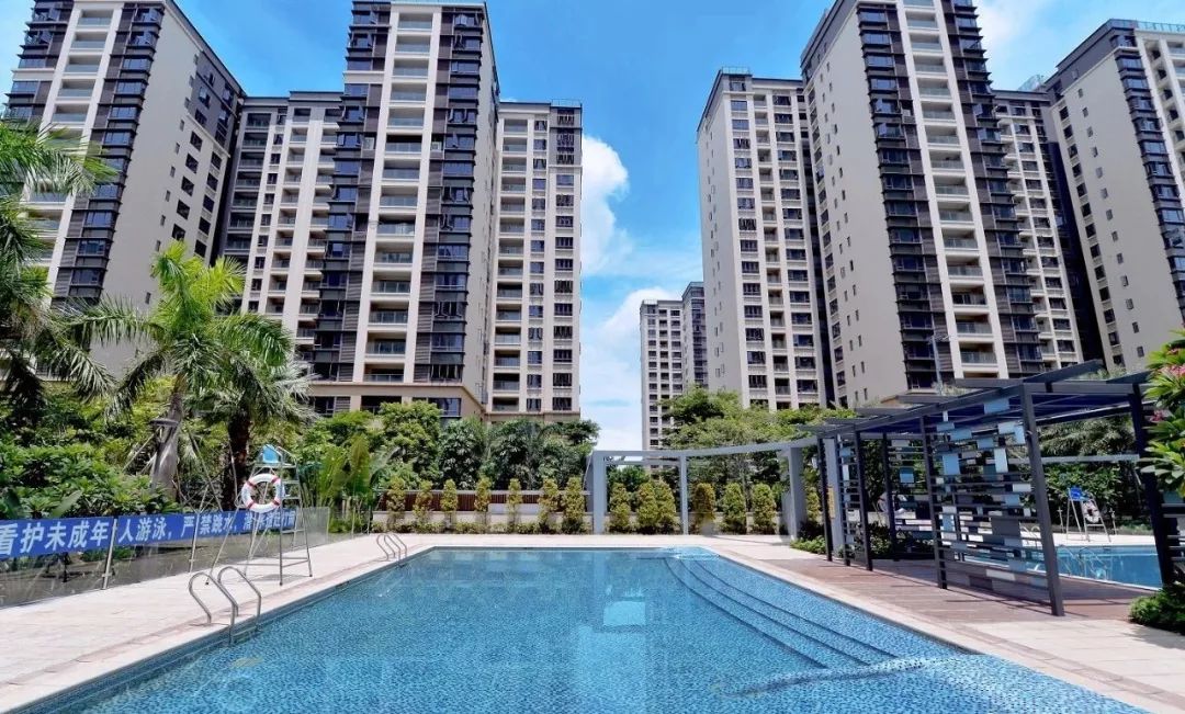 “双博”交汇，全球目光都盯上深圳了！这个区域要火