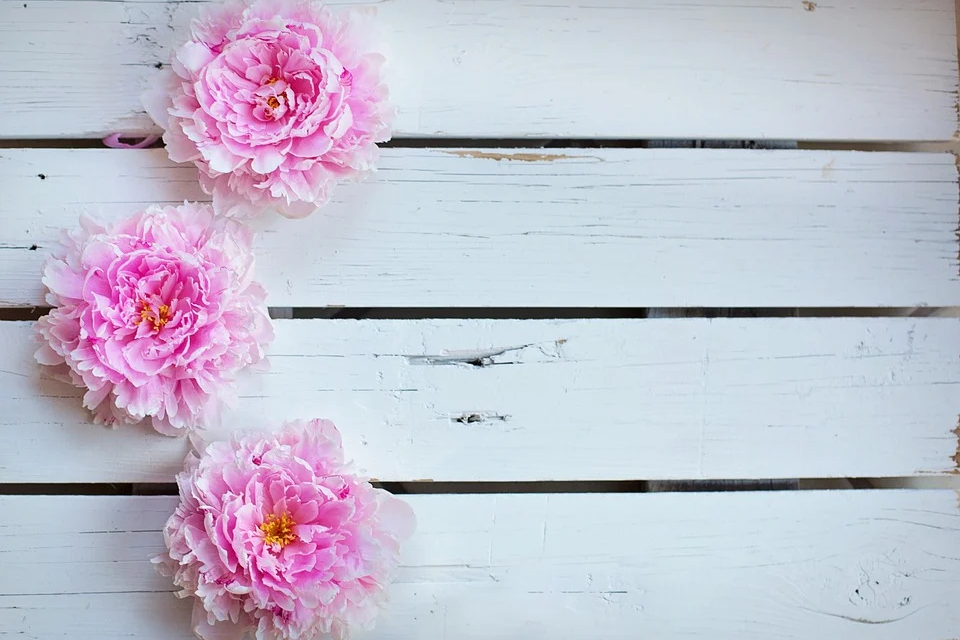 长期缺爱的女人心理,心理学原生家庭缺爱如何治愈