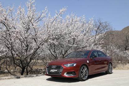 优等生出现学习态度浮躁,深度试驾奥迪a4l