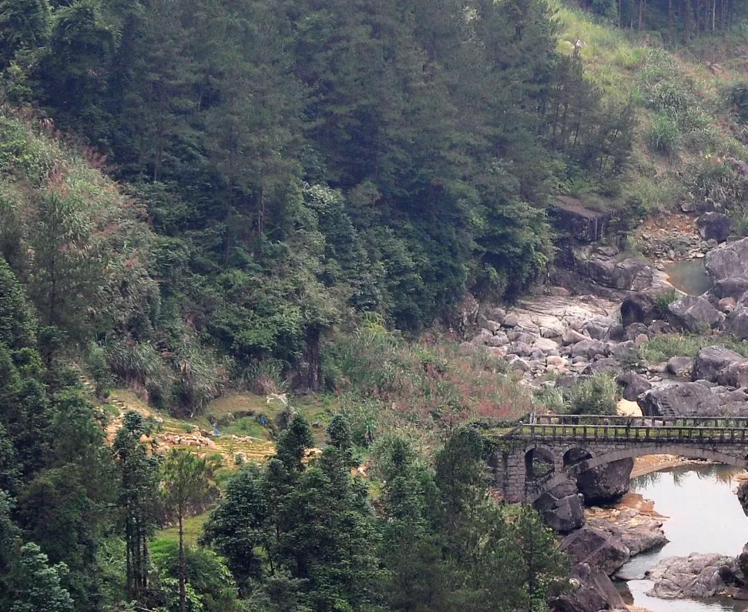 红色故事生死护送,红色故事葬礼