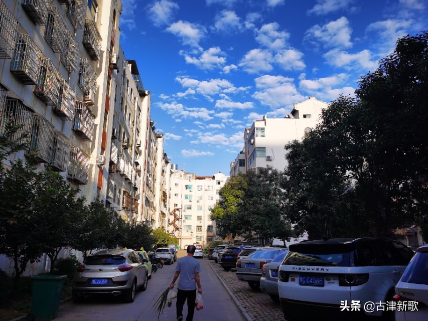 秋日暖阳运动场上活力四射,金秋十月秋高气爽运动健儿展风采