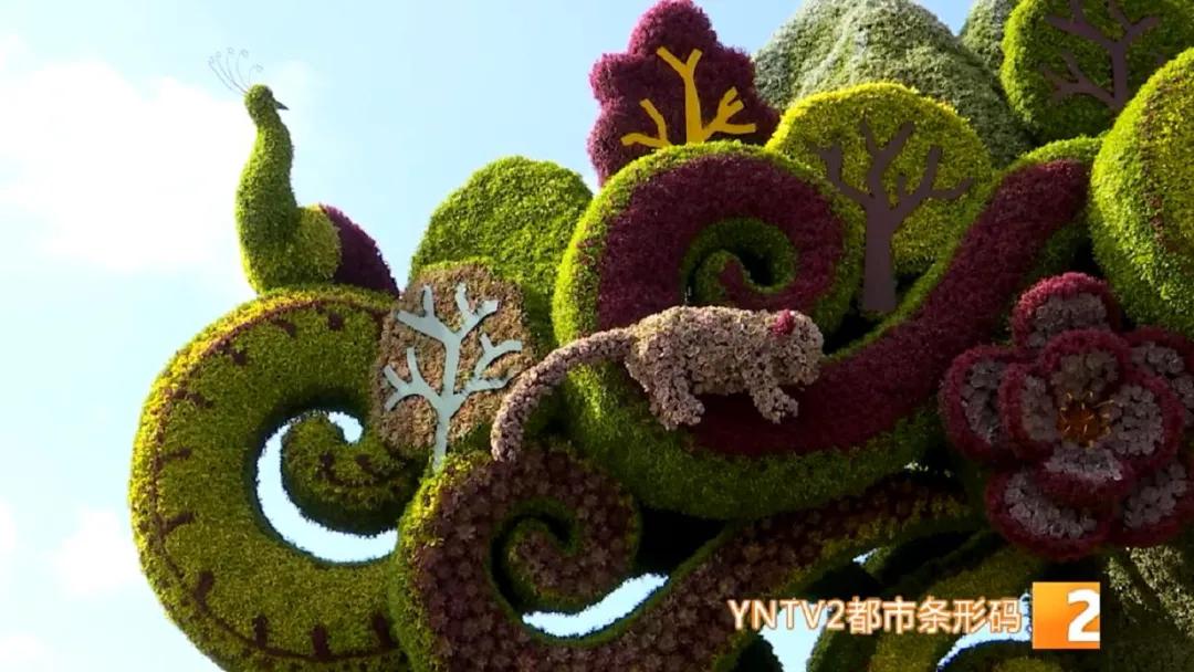 昆明100个立体花坛位置,昆明cop15立体花坛